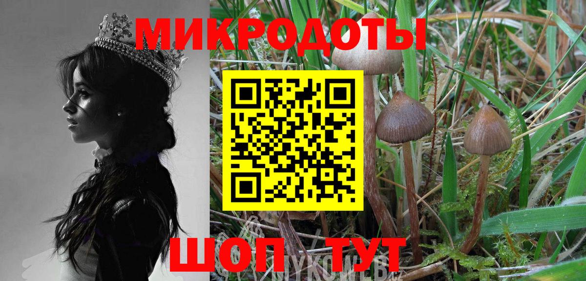 Псилоцибиновые грибы Psilocybe  Вход с VPN  Воронеж 