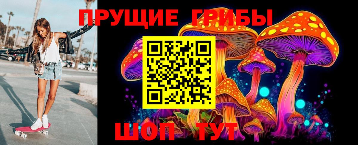 Галлюциногенные грибы Psilocybe Воронеж